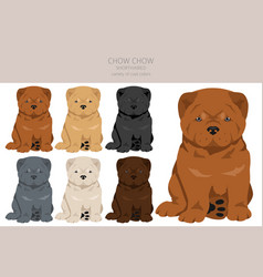 Chow Shorthaired Variety Puppy Clipart