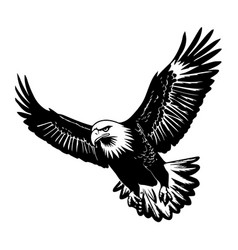 Eagle In Drawing Stencil Style