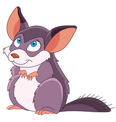 Cartoon Chinchilla Animal