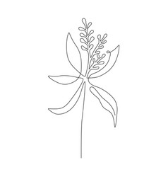 Wildflower Line Art