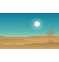 Silhouette Of Desert And Palm Landscape