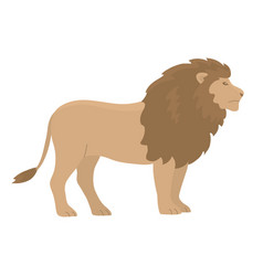 Lion With A Mane On White Background