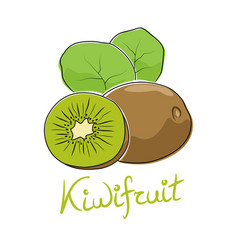 Kiwifruit Isolated On White Background