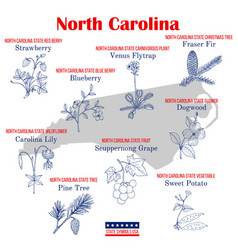 North Carolina Set Usa Official State Symbols