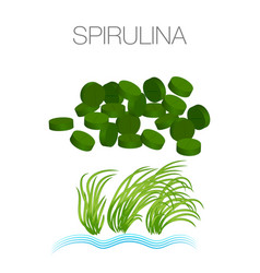 Set Spirulina Algae Tablets Pills Powder