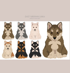 East Siberian Laika Puppy Clipart Different Coat