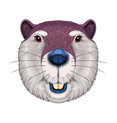 Beaver Frontal View Isolated Animal