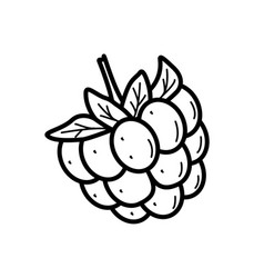 Summer Sweet Berry Raspberry Doodle Icon Single