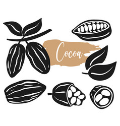 Cocoa Beans Isolated Set