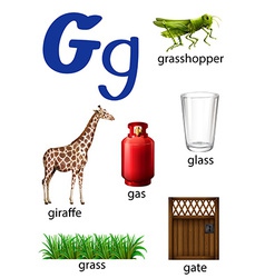 Things That Start With The Letter G