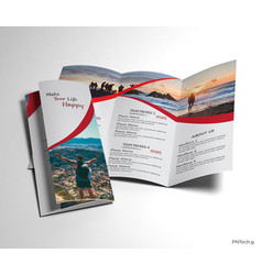 Travel Brochure - Trifold