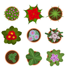 Cartoon Color Home Plant Top View Icon Set