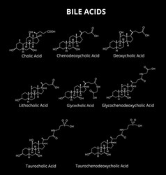 Bile Acids Set Chemical Molecular Formula