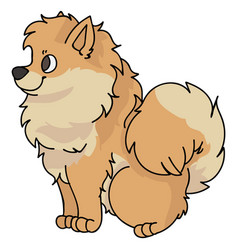 Cute Cartoon Pomeranian Sitting Dog Clipart