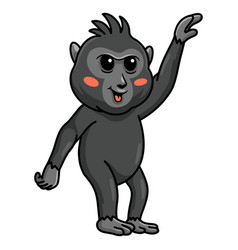 Cute Little Crested Black Macaque Cartoon