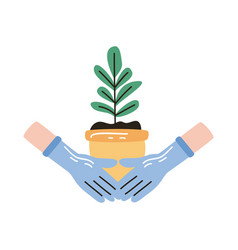 Hands Planting Houseplant In Pot