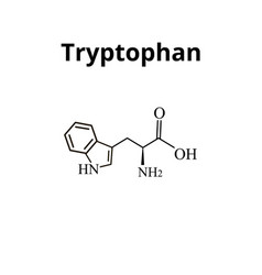 Tryptophan Amino Acid Chemical Molecular Formula