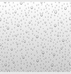 Water Rain Drops Or Steam Shower Isolated