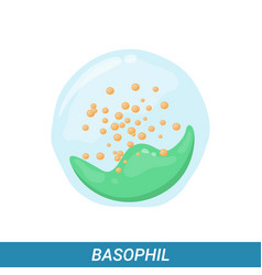 Basophil Leukocyte