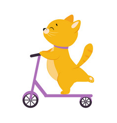 Cute Ginger Cat Character Riding Kick Scooter