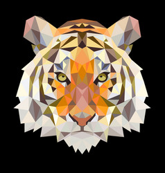 Tiger Head In Triangle Spots