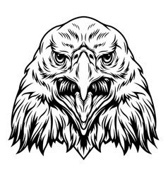 Eagle mascot character design set Royalty Free Vector Image