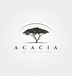 Acacia Tree Logo Vintage Symbol Design Old Tree