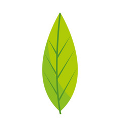 Leaf Icon