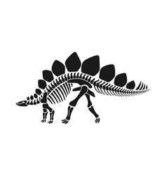 Isolated Stegosaurus Dinosaur Skeleton Fossil