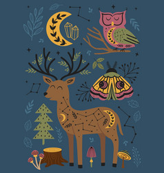 Magic Forest Poster With Deer Moth Owl