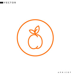 Apricot With Leaves Outline Style