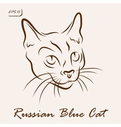 Russian Blue Cat