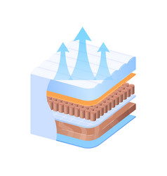 Isometric Skin Layer Cross-section With Collagen