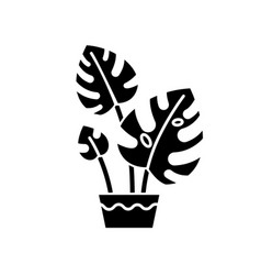 Monstera Deliciosa Black Glyph Icon Swiss Cheese