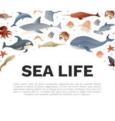 Sea Life And Creature Banner Design