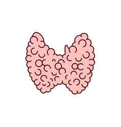 Gland Thyroid Color Line Icon Endocrine System