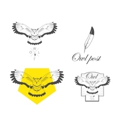 Logo Owl Design