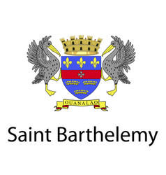 Saint Barthelemy National Flag