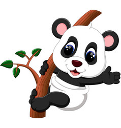 Cute baby panda cartoon Royalty Free Vector Image