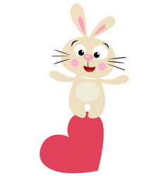 Cute Bunny On Top Of Heart