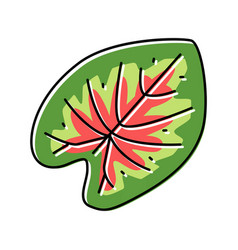 Caladium Tropical Leaf Color Icon