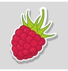 Blackberry Icon Design