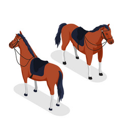 Sport Horse Concept