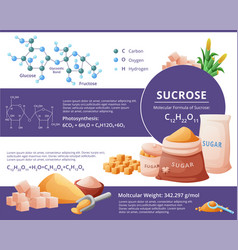 Sugar Cane Sucrose Atom Structure Glucose