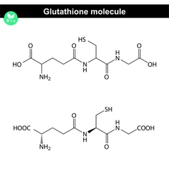 Glutathione Chemical Structure