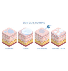 Isometric Human Skin Care 3d Epidermis Treatment