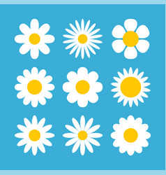 Blue flower and plant Royalty Free Vector Image