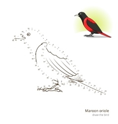 Maroon Oriole Bird Learn To Draw