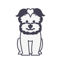 Cute Little Dog Mascot Pure Breed