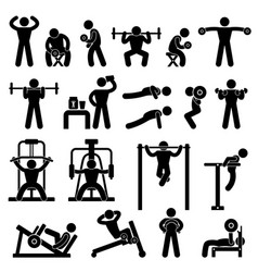 Gym Gymnasium Body Building Exercise Training